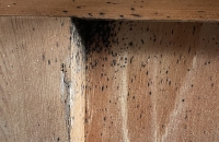 hubeni-stenic-praha 6