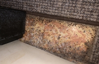 likvidace-stenic-praha 8